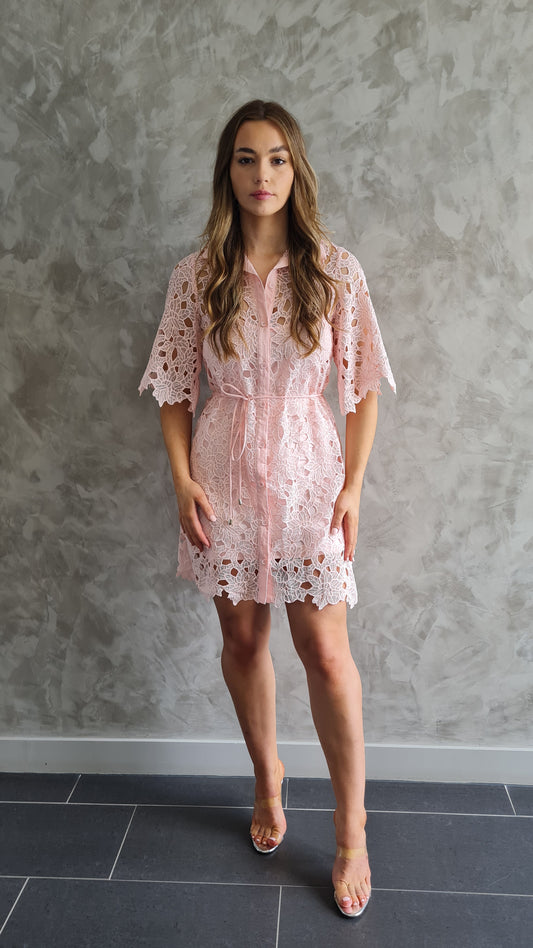 Maeve Lace Shirt Dress with Scalloped Hem